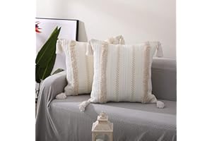 Ruucy 2 Pièces Boheme Housses Coussin Decoratifs Boho, Housse de Coussin avec Tufted Tassel Boho Coussin pour Canapes, Chambre, Salon, Voiture, Bureau (45x45cm)