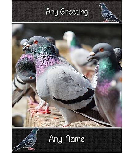 Printable Pigeon Birthday Card - Hap-pigeon Birthday, Cute Pigeon Card, Funny Birthday Card, Funny Cards, Birthday Cards For Pigeon Lovers - View #2