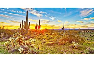 MIRRORANG 180x46cm Rettile Habitat Sfondo Blu Cielo Oasi Cactus Sole e Deserto Terrario Sfondo Durevole Vinile Sfondo