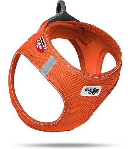 Hunter Vario-Basic ALU-Strong Collare In Alluminio Per Cani &ndash; Arancione, Taglia M, Regolabile 40-55 Cm, Leggero E Resistente, Ideale Per Cani Attivi