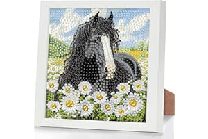 GHHKUD Kit per pittura con diamanti 5D a forma di cavallo, con cornice, per bambini e adulti, con piccoli diamanti di cristallo, idea regalo per ragazze, ragazzi, bambini dai 6 agli 8 ai 12 anni (17,8