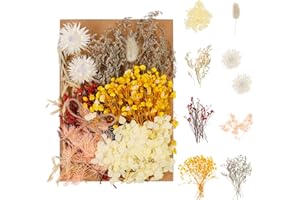 gerFogoo Natrliche Getrocknete Blumen, Trockenblumen Set, DIY Gepresste Blumen, Trockenblumen zum basteln, Gemischte Echte Getrocknete Blumen fr Kunst Bastel Harz Kerze Scrapbooking Handwerk Machen