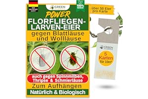 GREEN GUARDIA Power Florfliegenlarven-Eier gegen Blattläuse, Spinnmilben, Thripse & Co. - 5x Karten zum einfachen Aufhängen - starke Wirkung bei Gemüse-, Cannab.- & Zierpflanzen
