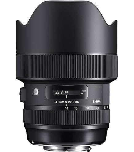 Sigma 14-24mm F/2.8 DG DN Art Lens for Sony E Mount: Amazon.co.uk
