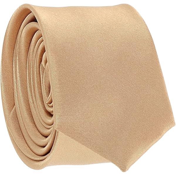 S&W SHLAX&WING Cravate Fine Pour Homme Gris Argenté Rouge