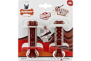 Nylabone, Basted Blast, bardzo mocna kość do żucia, nylonowa zabawka dla psa, kształt kości, trwała kość do żucia, smak: boczek i steki, bardzo mała, dla psów do 7 kg, 2 sztuki w opakowaniu