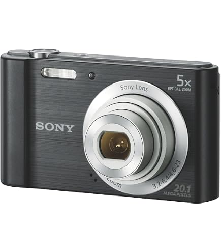 Sony Cyber-Shot DSC-WX350 18.2 MP 4896 x 3264 Pixels CMOS 20x Full