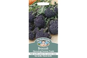 MR FOTHERGILLS Mr Fothergill?s Seeds Ltd 11328 Vegetable Seeds, Broccoli (Sprouting) Summer Purple