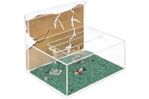 AntHouse - Natural Sand Ant Farm | Kit L (Sandwich + Forage Box)
