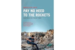 Pay No Heed to the Rockets: Palestine in the Present Tense