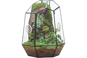 NCYP Closed Geometric Glass Enclosure with Front Opening Door & 2 Vent Holes for Insects, Succulent, Cacti - 20x17.5x25 cm Black Irregular Terrarium Planter - Home Garden Tabletop Decor (No Plants)