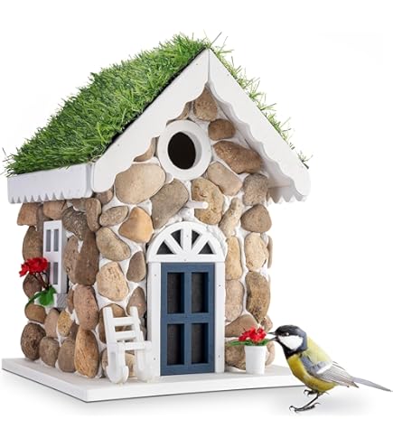 Vogelhuisje Douglas plat dak online kopen