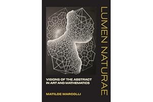 Lumen Naturae: Visions of the Abstract in Art and Mathematics (The MIT Press)