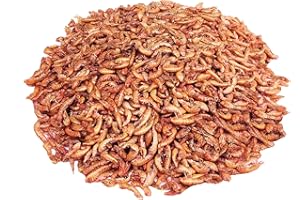 STAWA Gammarus Bachflohkrebse getrocknet, natürlicher Snack für Fische, Wasserschildkröten, Vögel, Reptilien und Nager, Zusatzfutter für Reptilien, Futter für Hühner und Wachteln, 500 g