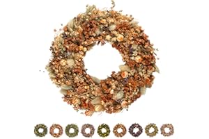 PHILARO Trockenblumenkranz All Seasons Ø 30cm orange - kein Plastik I Trockenblumen Premium Qualität aus Europa - Türkranz - Tischkranz - Wandkranz - Trockenblumenkranz