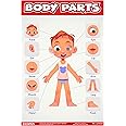 ESCAPER Body Parts Chart for Kids learning (11.5 x 17.5 inches), Human Body Parts Chart for Kids, laminated charts for kids learning 2 years wall hanging