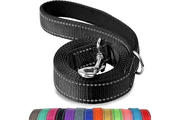 Joytale Correa para Perro Reflectante de Doble Cara, Correa para Perros con Mango Acolchado, Correa de Adiestramiento para Perros Grandes y Medianos, 120×2.5cm, Negro