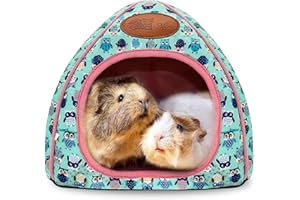 RANYPET Casetta Porcellino D'india per Piccoli Roditori, casa per criceti, Cuccia Coniglio Nano Antiscivolo, Casetta Porcellino D'india per Riccio Drago Barbuto Inverno Nido per Gabbie per Criceti