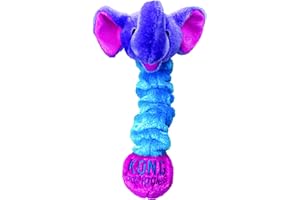KONG Squiggles Dog Toy - Small, Blue