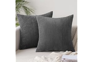 Slozzi 2er Set Kordsamt Kissenbezug Dunkelgrau 40x40cm Kissenbezüge Kissenhülle Sofakissen Dekokissenbezug Couchkissen Weich für Sofa Schlafzimmer Wohnzimmer Balkon