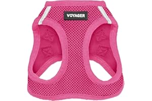 BEST PET SUPPLIES Voyager Step-in Air – Harnais en Maille résistante aux intempéries, réfléchissant, Anti-Traction pour Chiens et Chats de Petite, Moyenne Taille, sécurisé avec Fermeture Auto-agrippante, Boucle,