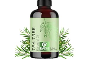 MAPLE HOLISTICS Pure Tea Tree Oil for Hair Skin and Nails - 100% Pure Undiluted Tea Tree Essential Oil with Dropper for Topical Uses Aromatherapy Diffusing and Home and Beauty DIYs - Vegan and Cruelty Free (1 Fl Oz)
