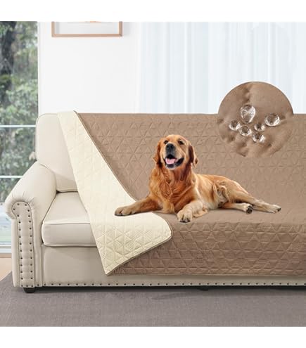 Coperta Gatto Nero 3D Per Divano - Sherpa Morbida Con Stampa Animale - 150x200 Cm - Foto 2