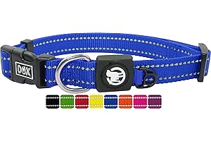 DDOXX Collare Cane Nylon, Riflettente, Regolabile | Tanti Colori e Taglie | Per Cani Piccoli Medi e Grandi | Collari per Cani, Gatti, Cuccioli Taglia Piccola Media Grande | Collarino Gatto | Blu, S