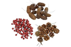 BB Sport Weihnachtsdeko Natur Tischdeko Advent Dekoration Beeren und Tannenzapfen Weihnachtsdekoration Selber Machen Basteln Adventskranz