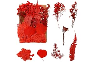 BOLOSA Natural Dried Flowers, Pressed Flowers Real Dried Pressed Flowers and Leaves Dried Flowers Set for Scrapbooking DIY Candle Resin Jewelry Crafts Card Making (Red)