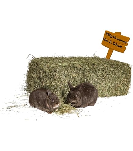 Foin Naturel Pour Lapins 20 Kg - Foin Italien De Prairie De Montagne, Séché Au Soleil, Pour Cochons D'Inde, Chinchillas, Rongeurs