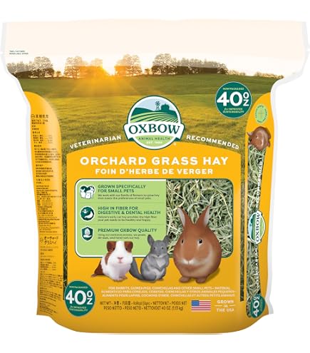 Erba Medica (Alfa Alfa) 15 kg | Fieno Naturale Erba Medica | Ricco di