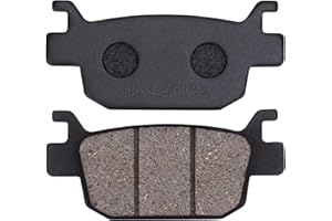 Road Passion Pastiglie Freno Posteriore per SH 125i / SH 150i / SH 300i