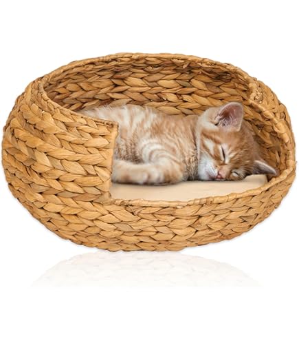 animal-design Climby , wandstoel, kattenligstoel , wandmontage