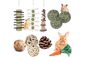 VEGENA Lot de 11 jouets à mâcher pour lapin, hamster, chinchilla, cochon d'Inde, gerbille