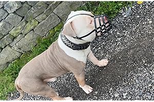 L&J PETS UK Bozal de piel auténtica para perro American Bully, Bully XL y otros hocicos similares (cuero negro, AB1)