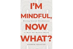 I'm Mindful, Now What?: Moving Beyond Mindfulness to Meet the Modern World
