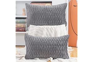 Madizz 2 Pezzi Federe in Velluto Copricuscini Morbido Decorativo Fodere per Cuscino Lusso Stile per Divano Camera da Letto Grigio Rettangolare 30x50 cm