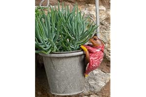 Pot Buddies Beatrix Potter Mr. Jeremy Fisher - Figura decorativa para maceta (hecha a mano), diseño de flores