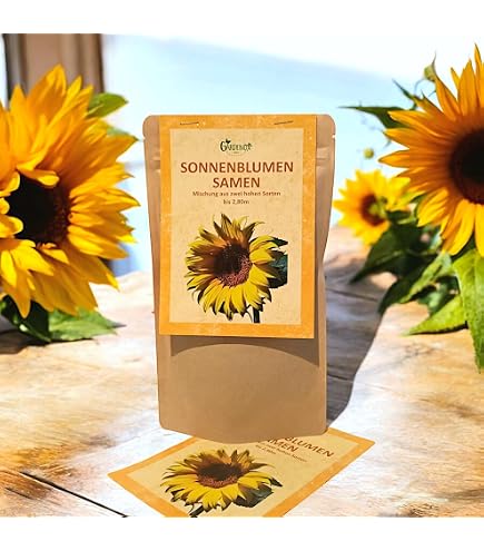 Sonnenblumen Feldsonnenblumen 1kg : Amazon.de: Garten