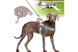 Onlyesh Pettorina Cane Taglia Grande, con 1.5M Guinzaglio per Cani, Regolabile, Traspirante Pettorina Antifuga Cane, pettorina cane Riflettente per Passeggiate, Jogging, Addestramento, L