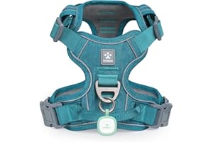 Pawaii Hundegeschirr Hundegeschirr für Kleine Hunde mit Griff Anti Zieh Geschirr Brustgeschirr Anti Zug Gepolsterte Reflektierende Verstellbare Atmungsaktive Hundegechirr ID Tag Enthältet(S Grün)