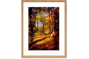 Wee Blue Coo 9x7 '' AUTUMN FOREST SUN ORANGE FRAMED ART PRINT PICTURE MOUNT PHOTO F97X189