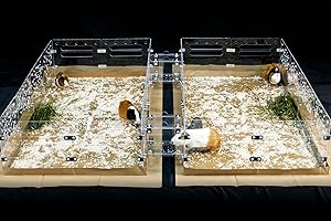 GuineaLoft™ Cage Connector - Connects Guinea Pig Cages Through Corridors, Easy to Insert, Easy to Remove, Can Be Closed, Adds Space and Structures, Increases Activities - Exclusive by Guinea Loft