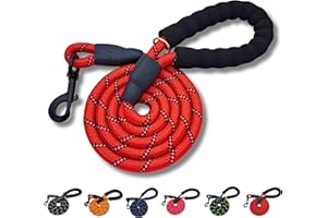 DogCatz Strong Rope Dog Lead, Medium Large Dogs, Soft Padded Handle, Highly Reflective, Heavy Duty 5 Foot Leads (Red)