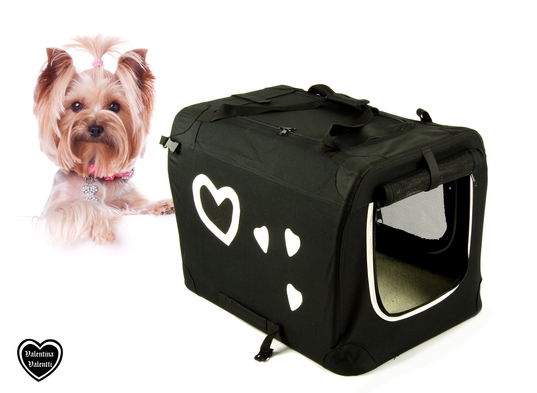 Chinese Crested Dog Guide Dogs.co.uk