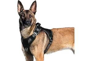 rabbitgoo Arnes Perro Antitirones, Arnes Perro Grande Mediano Transpirable, Arnes Táctico Perro ajustable con Asa Anillos y Molle, Chaleco Durable Reflectante para Adiestrar, Caminar, Cazar, Negro, XL