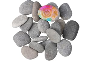 DIYEAH Lot de 20 galets ronds pour peinture - Pour travaux manuels, dessin, appartement - Grand pour galets peints à la main - Peinture sur roche décorative - Gris