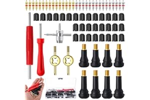 saerryor 73 Pcs Car Bike Tyre Valve Repair Kit,Includes Valve Core Remover Tool, Valve Stem Cores Valve Core Replacement Set for Car Motorcycle Bicycle