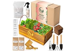 Kiwavi Mini Huerto Urbano Interior y Exterior - Kit de Cultivo con Semillas de Tomate Cherry, Canónigos, Rúcula y Rábanos | Plantas Naturales | Semillas Huerto Fácil y Ecológico
